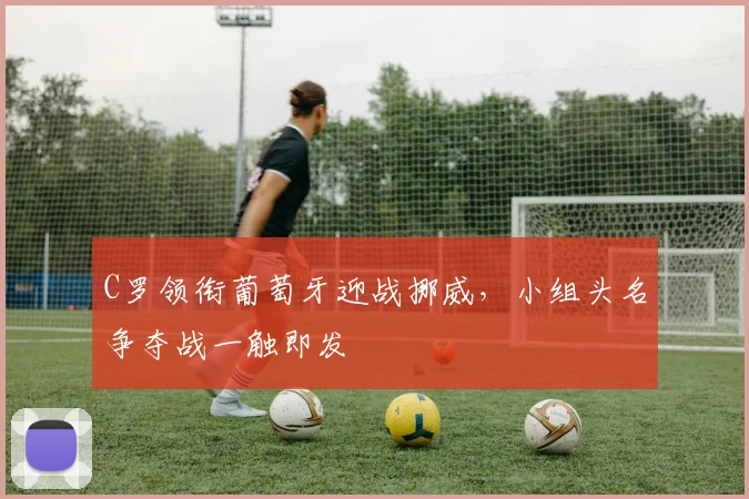 C罗领衔葡萄牙迎战挪威，小组头名争夺战一触即发