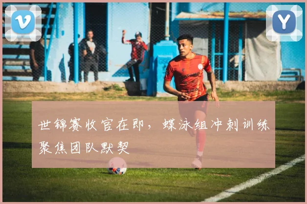 世锦赛收官在即，蝶泳组冲刺训练聚焦团队默契