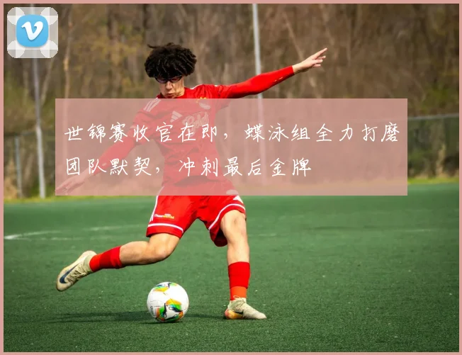 世锦赛收官在即,蝶泳组全力打磨团队默契,冲刺最后金牌