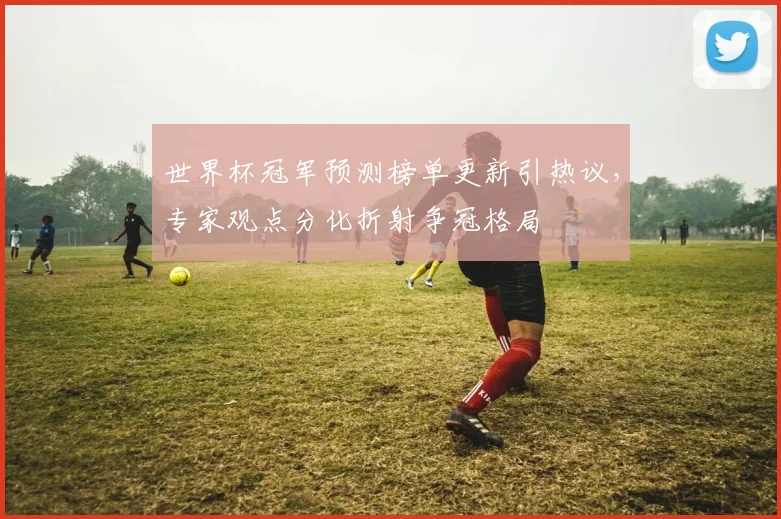 世界杯冠军预测榜单更新引热议，专家观点分化折射争冠格局 - 2026世界杯